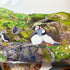 A4 Wild birds Prints
