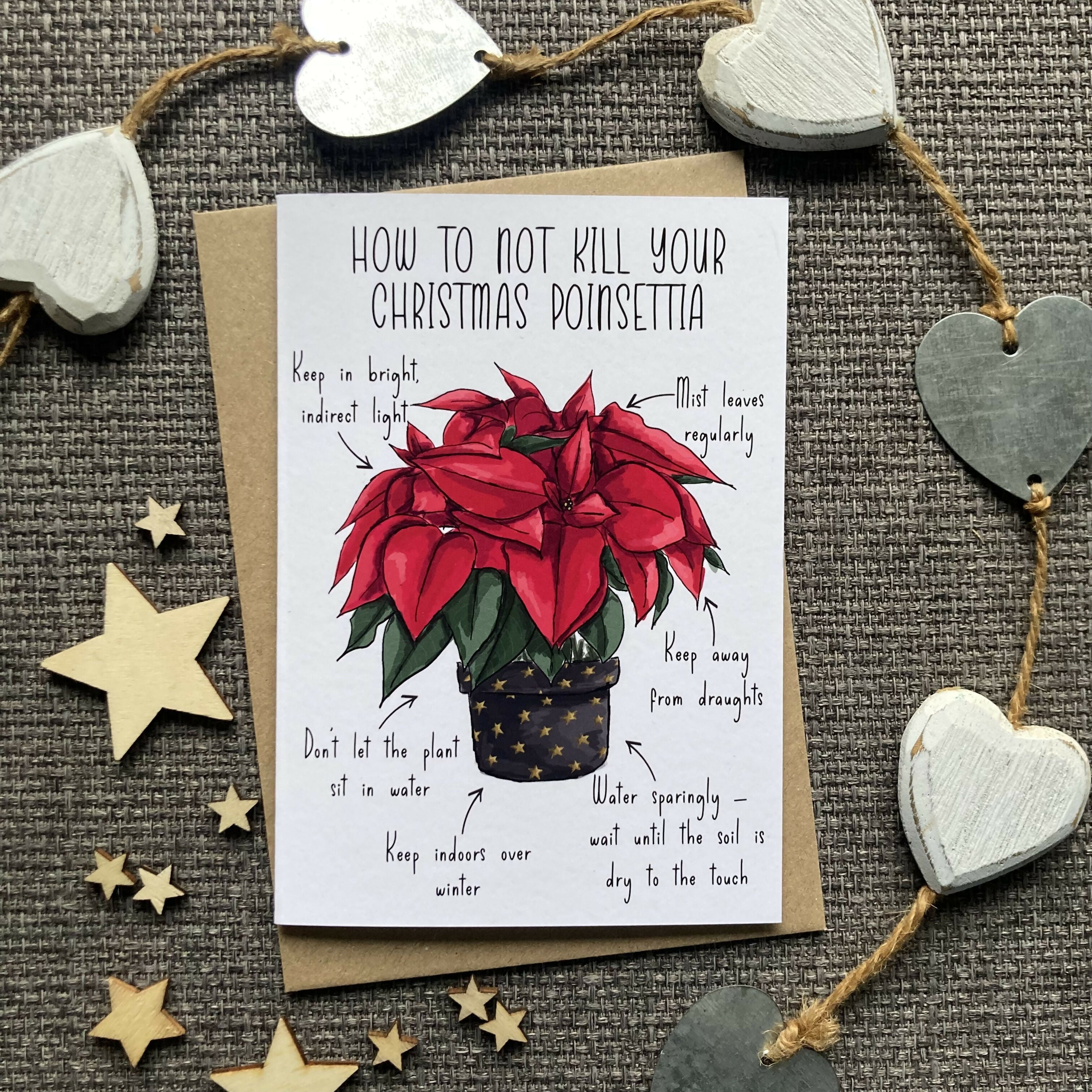 How to Not Kill Your Poinsetta Christmas Card