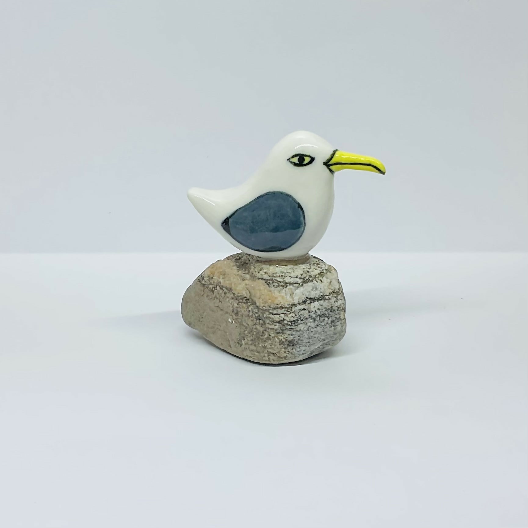 Seagull on Pebble