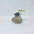Seagull on Pebble
