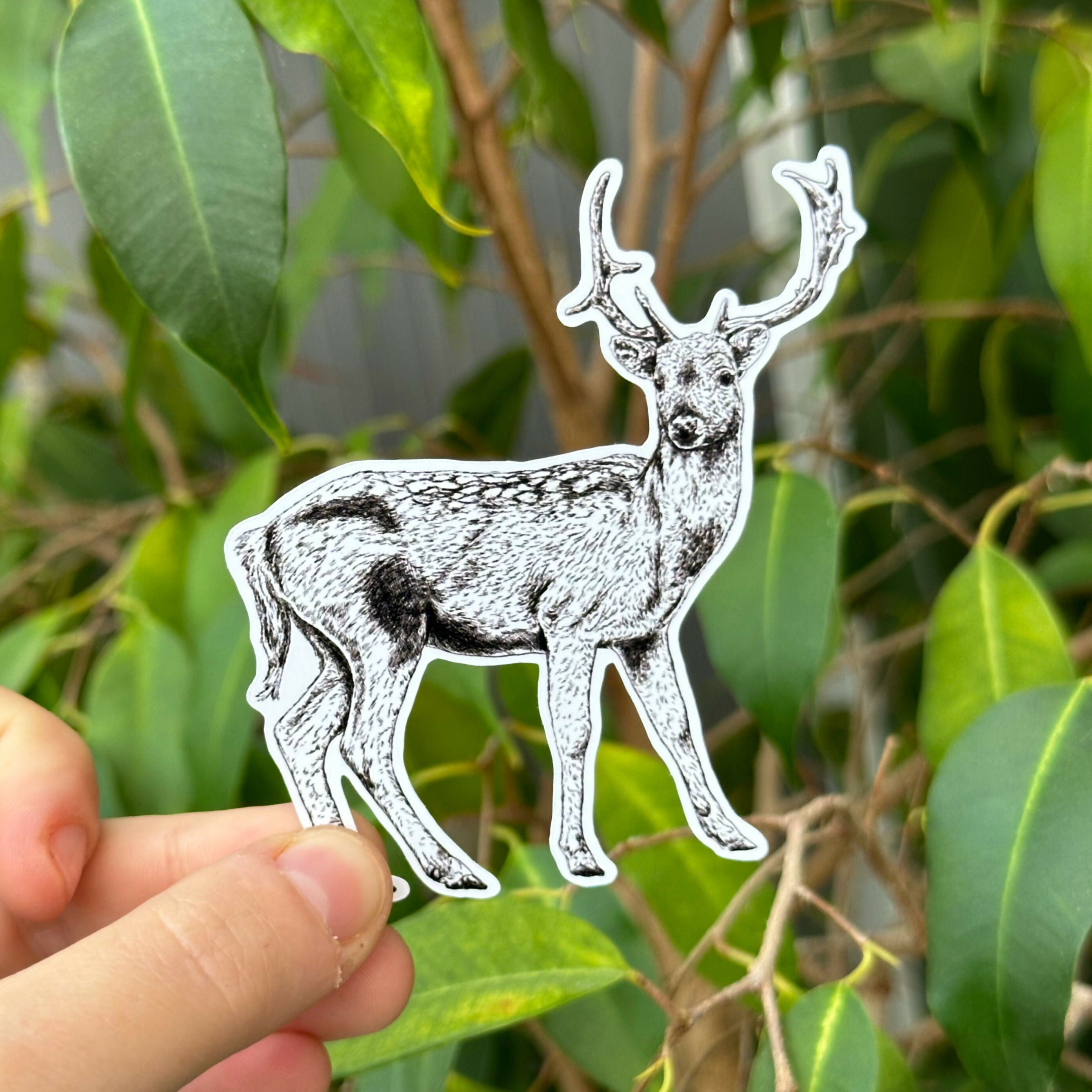 Forest Friends - Gloss Sticker Pack