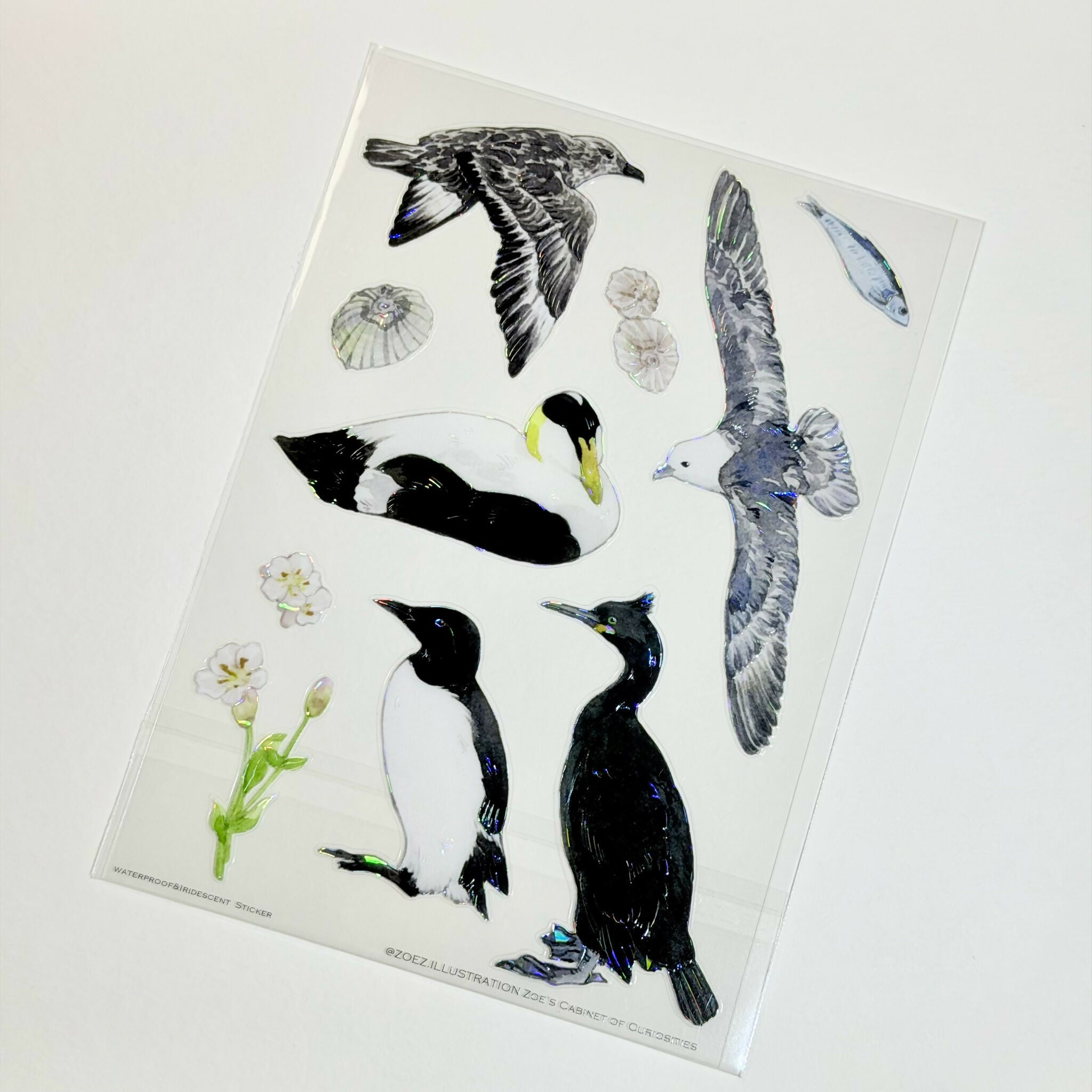 A6 transparent waterproof iridescent wildlife sticker sheet