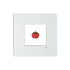 Tomato 4x4" Mounted Mini Print