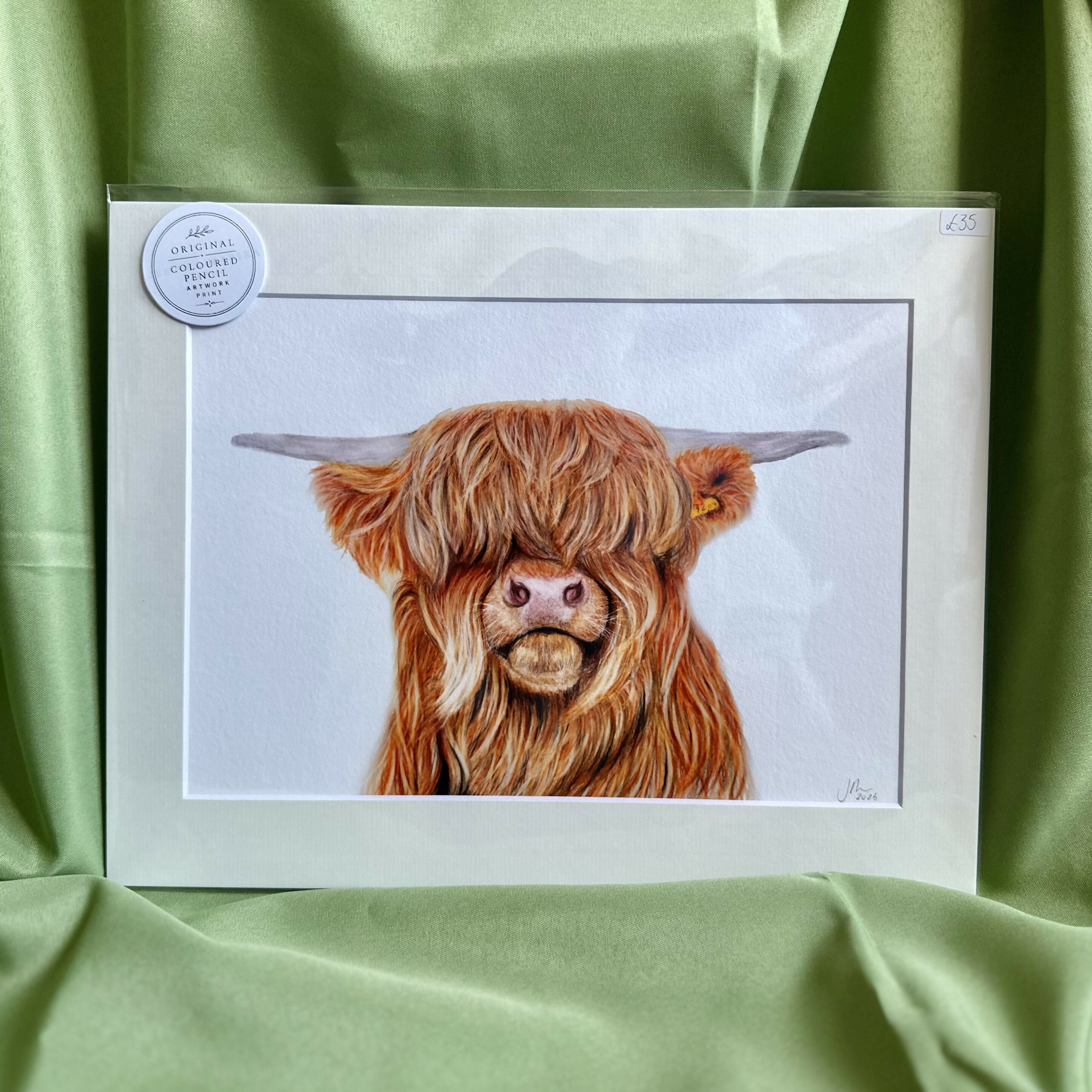 Highland Cow Art Print | Premium Velvet Fine Art Print | Country Cottage Wall Art