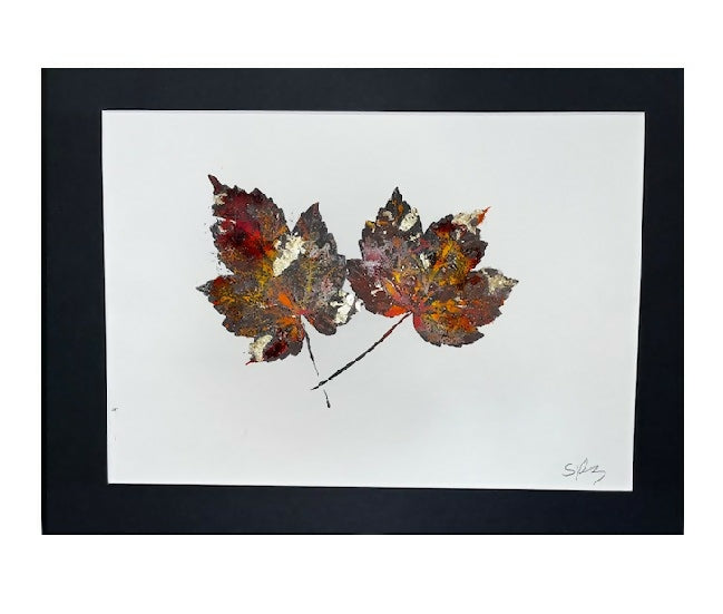 Autumn Colours