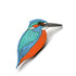 Kingfisher Pin Badge