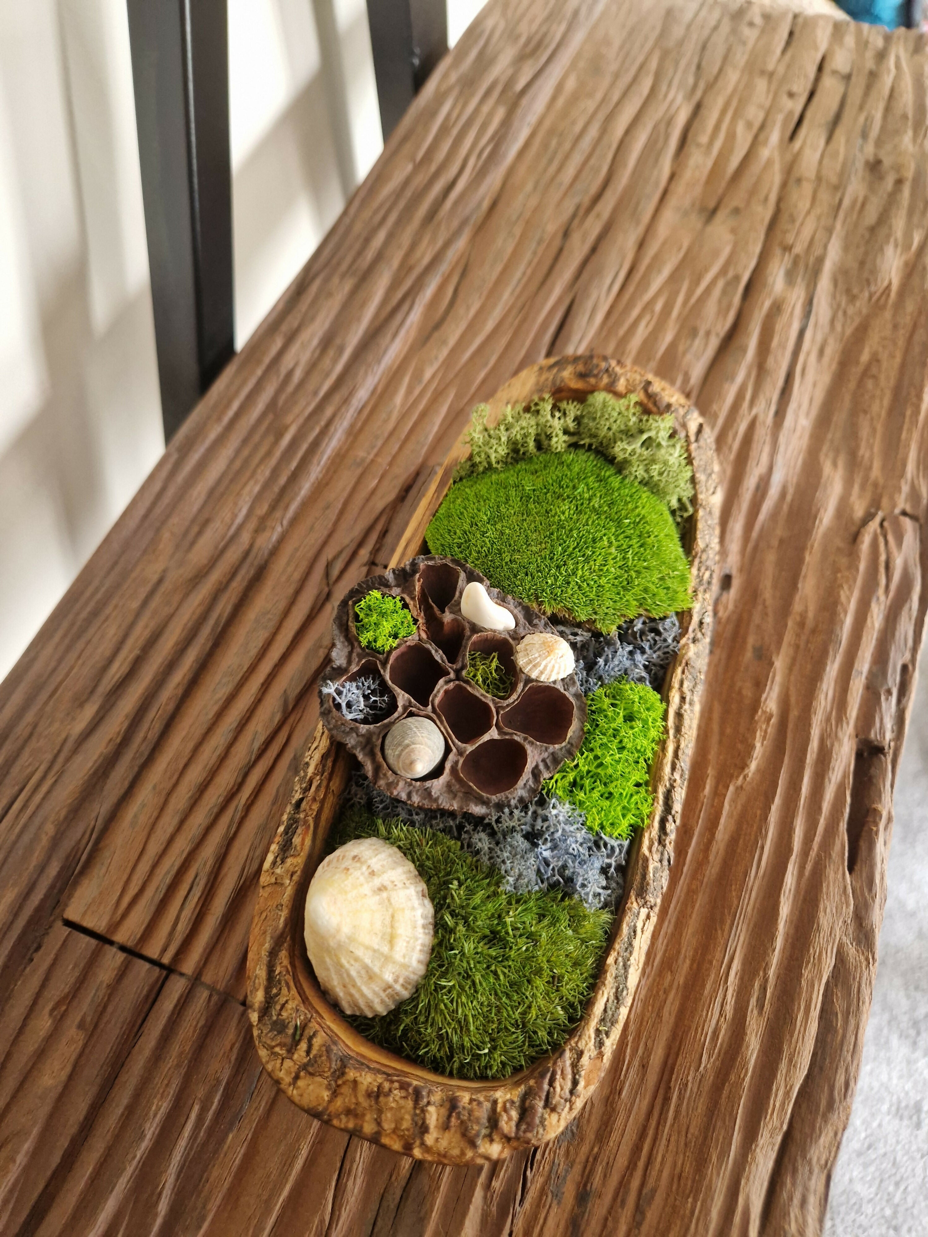 Coral Reef Teak Bowl