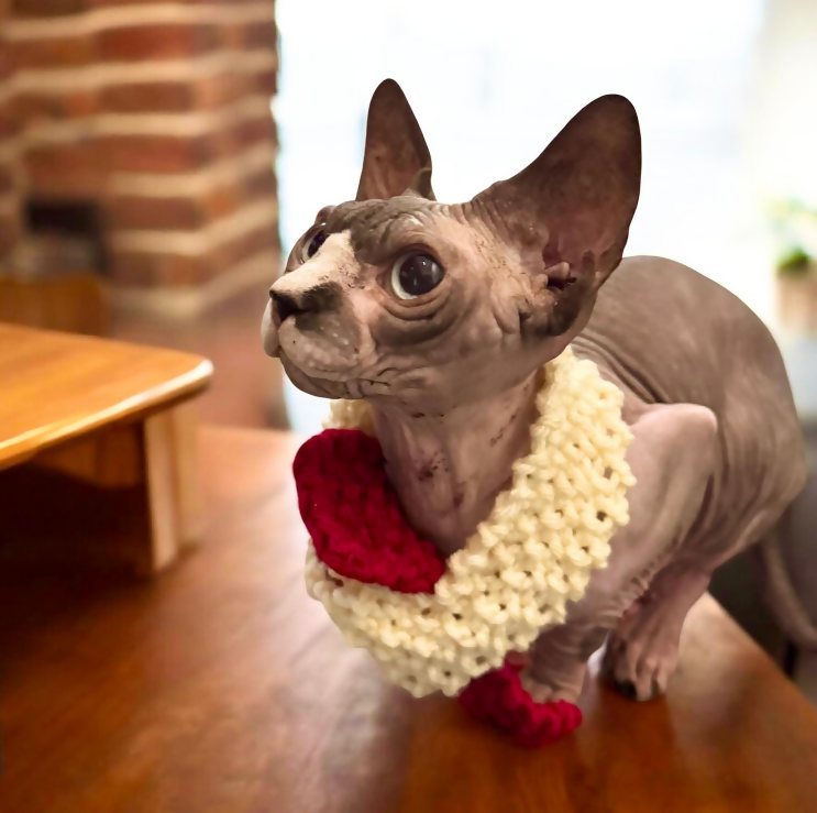 PET SCARF, STRIPY, 2-COLOUR COSY FOR CAT OR SMALL DOG