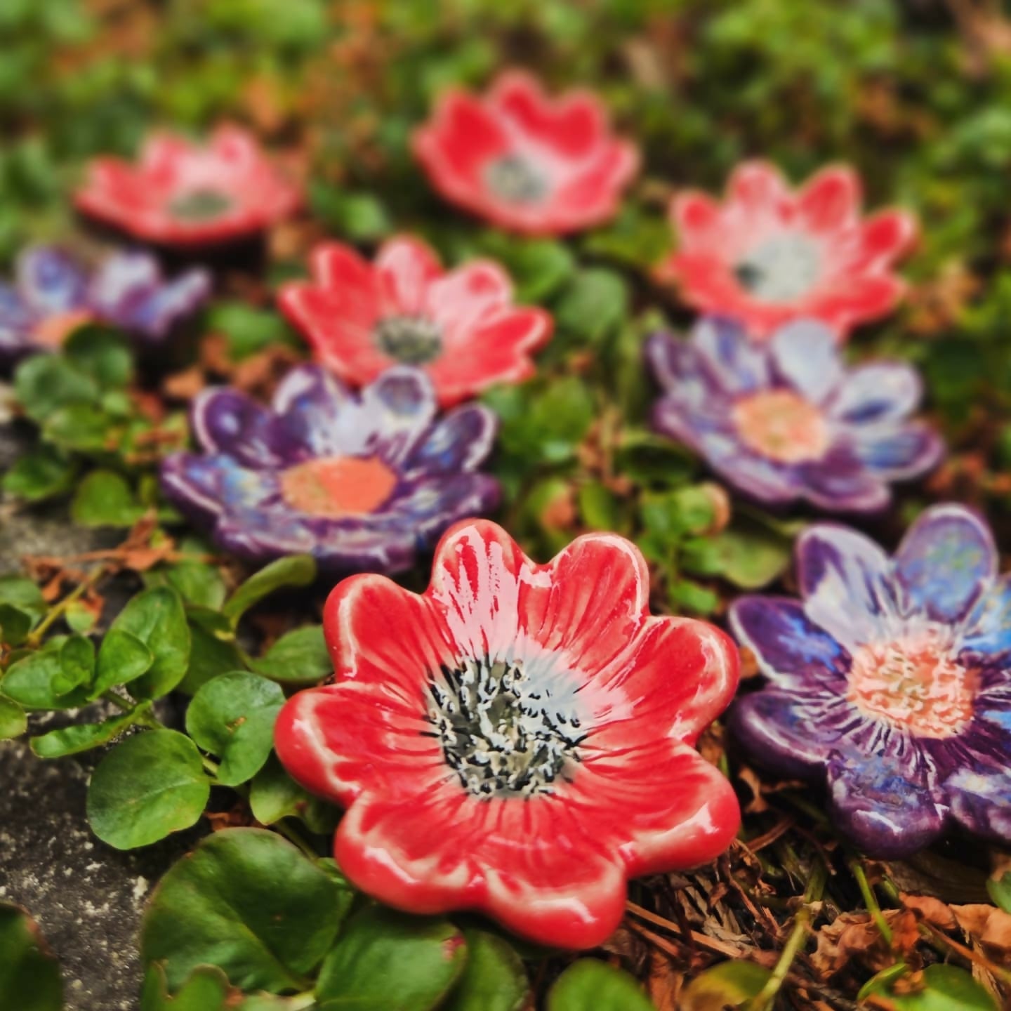 flower magnet 1