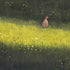 Grey Partridge in the Sun - 16cm x 29.7cm Print