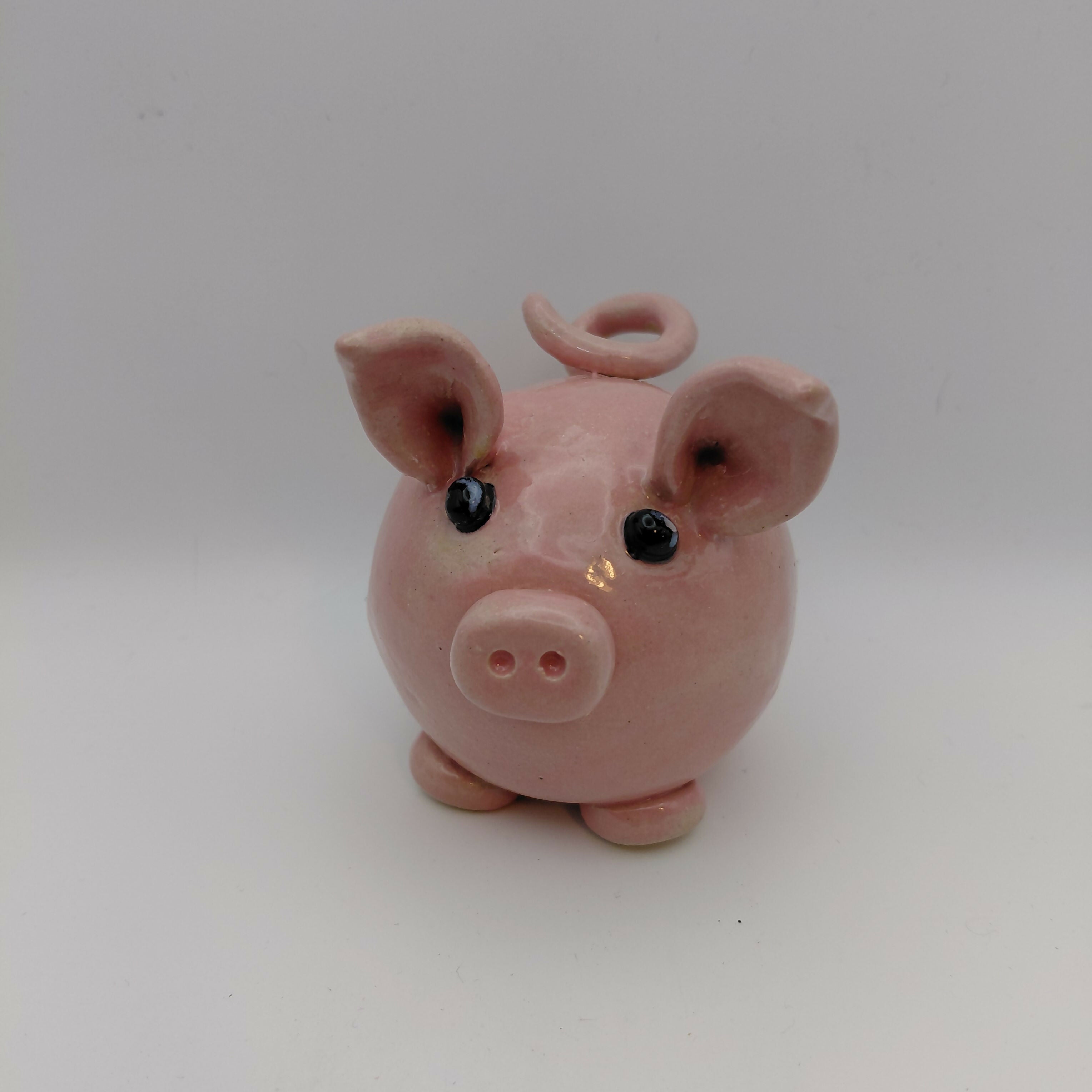 Curly Tail Piglet