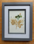 Real Pressed Seaweed 3D Art With Sea Glass