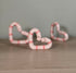 Love Heart Worm, Valentines Worms