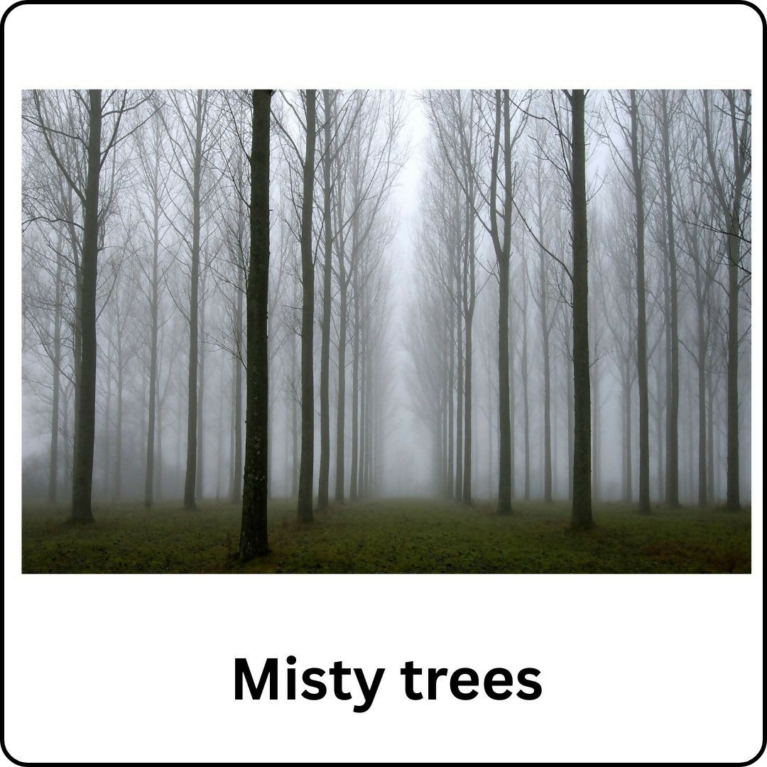 Misty Trees (Super Big Frame)