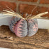 Upcycled Knitted Pumpkin Decoration, Handmade Autumn and Winter Ornament, Halloween, Christmas