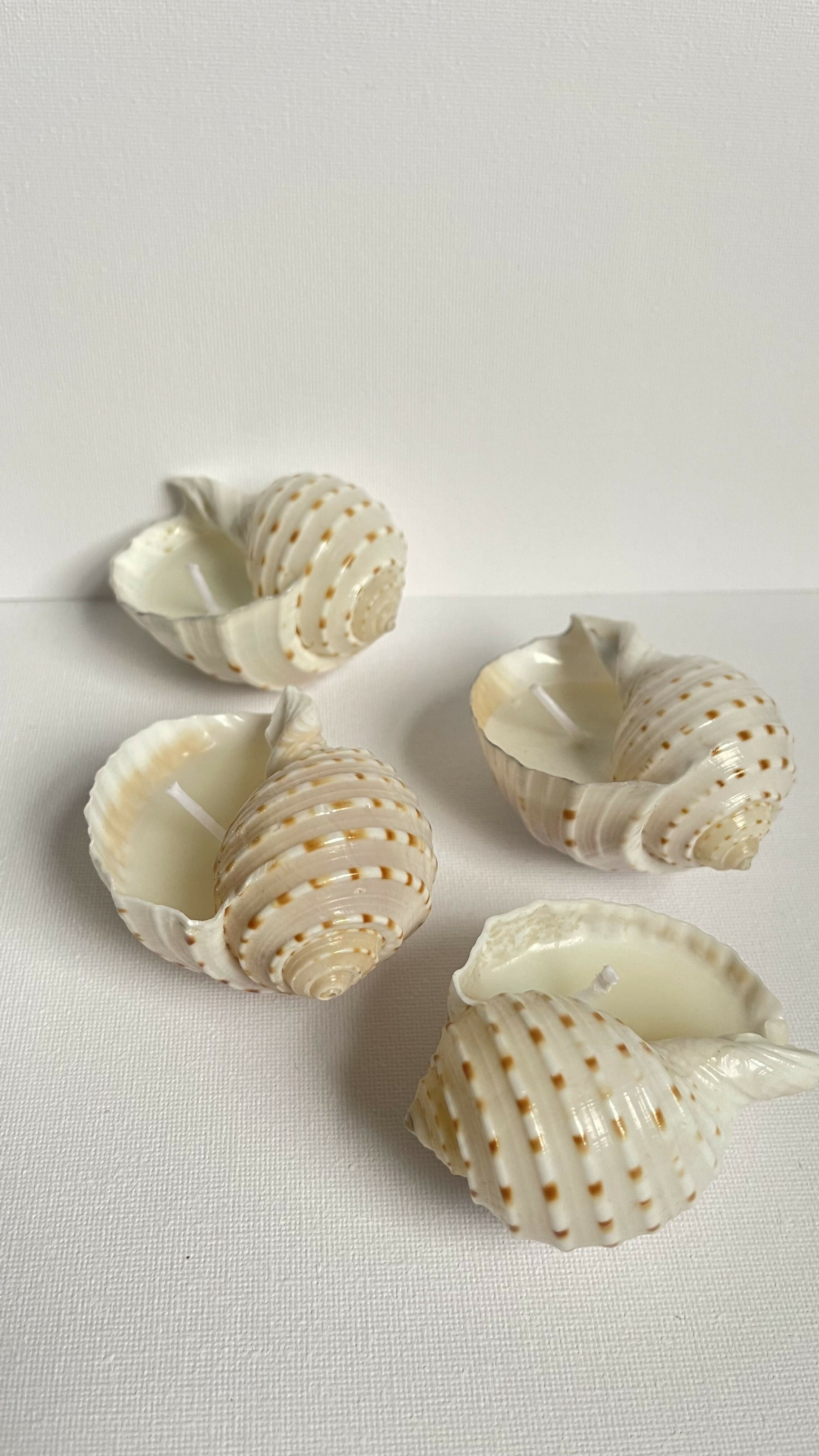 Tonna Allium Candle