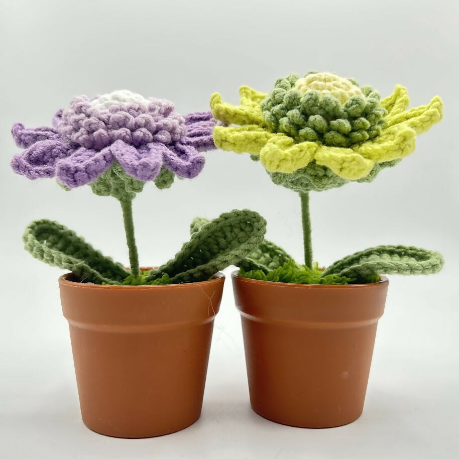 Pastel Coloured Crochet Sunflower in Faux Terracotta Pot