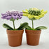 Pastel Coloured Crochet Sunflower in Faux Terracotta Pot