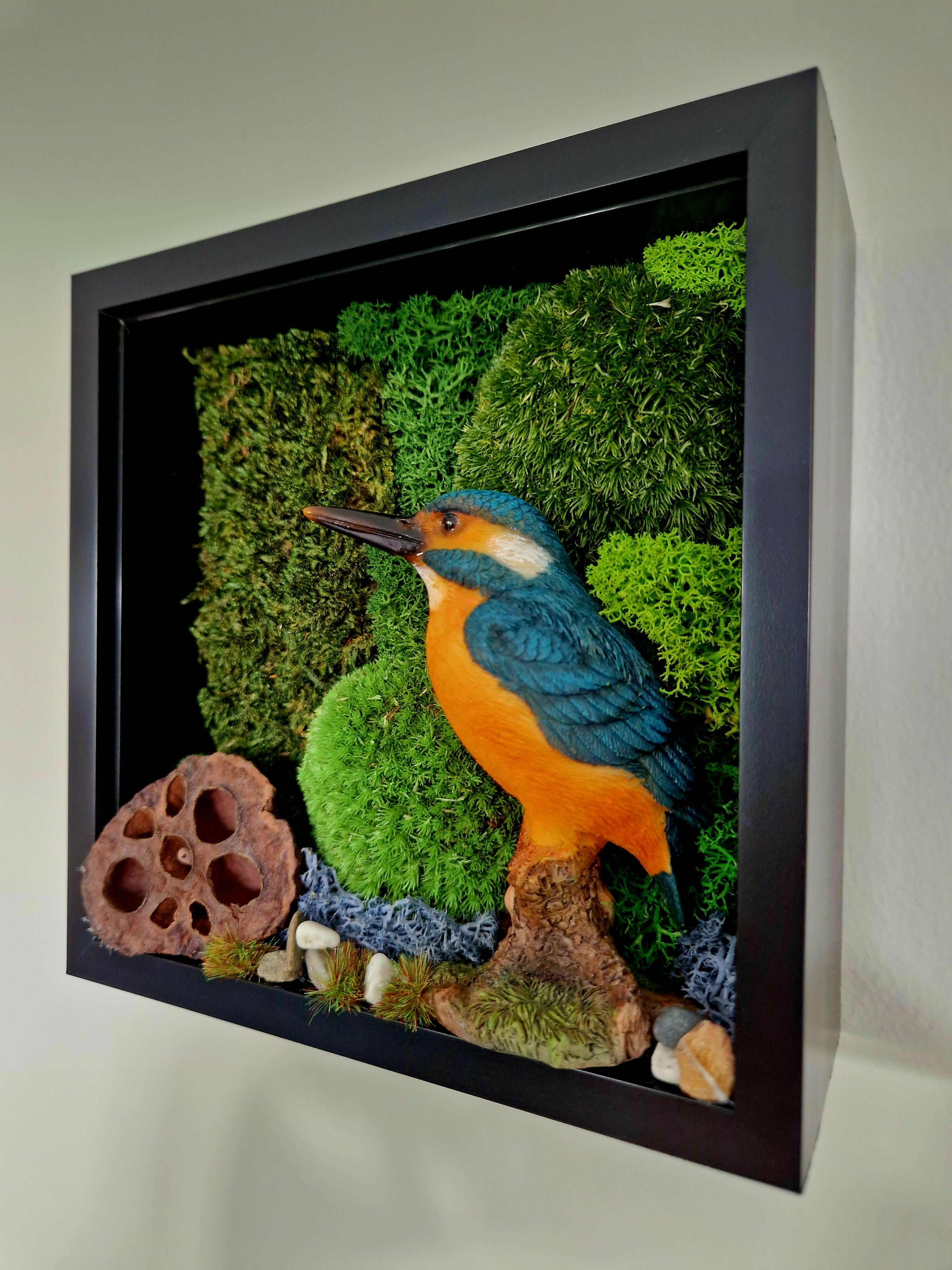 Kingfisher