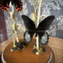 Real Butterfly Natural Display Glass Cloche Lamp with Grey Shade