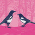 Magpies - Two for Joy Art Print