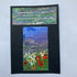 Wildflowers Mini Oil Painting Fridge Magnet