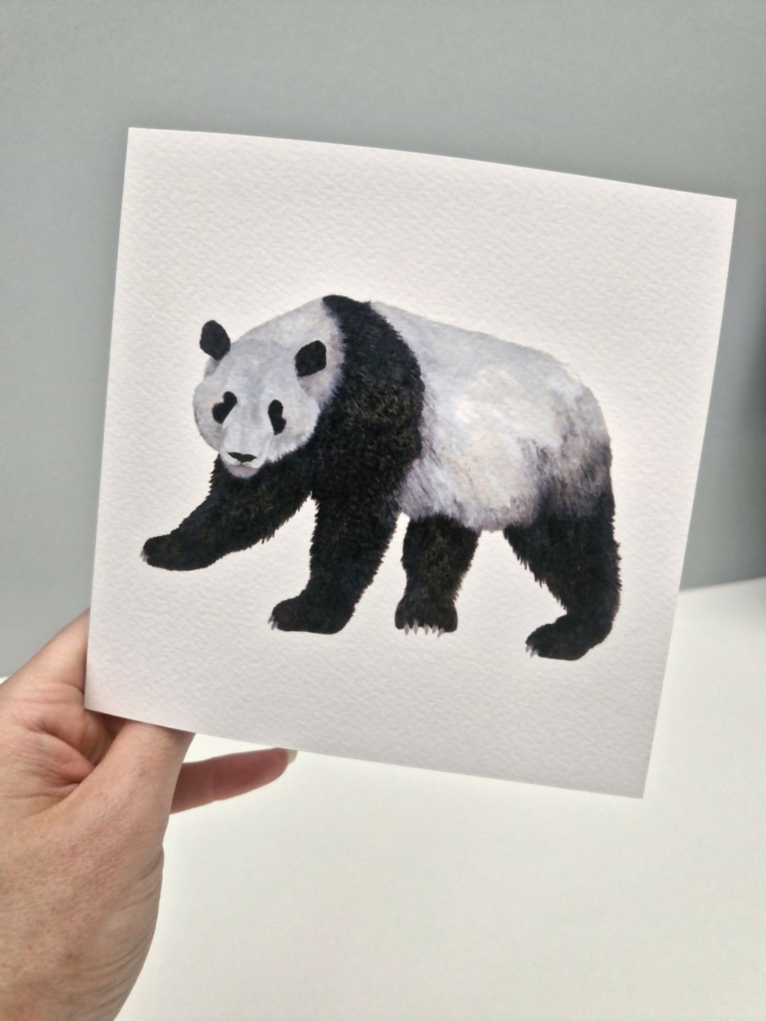 Panda Greeting Card
