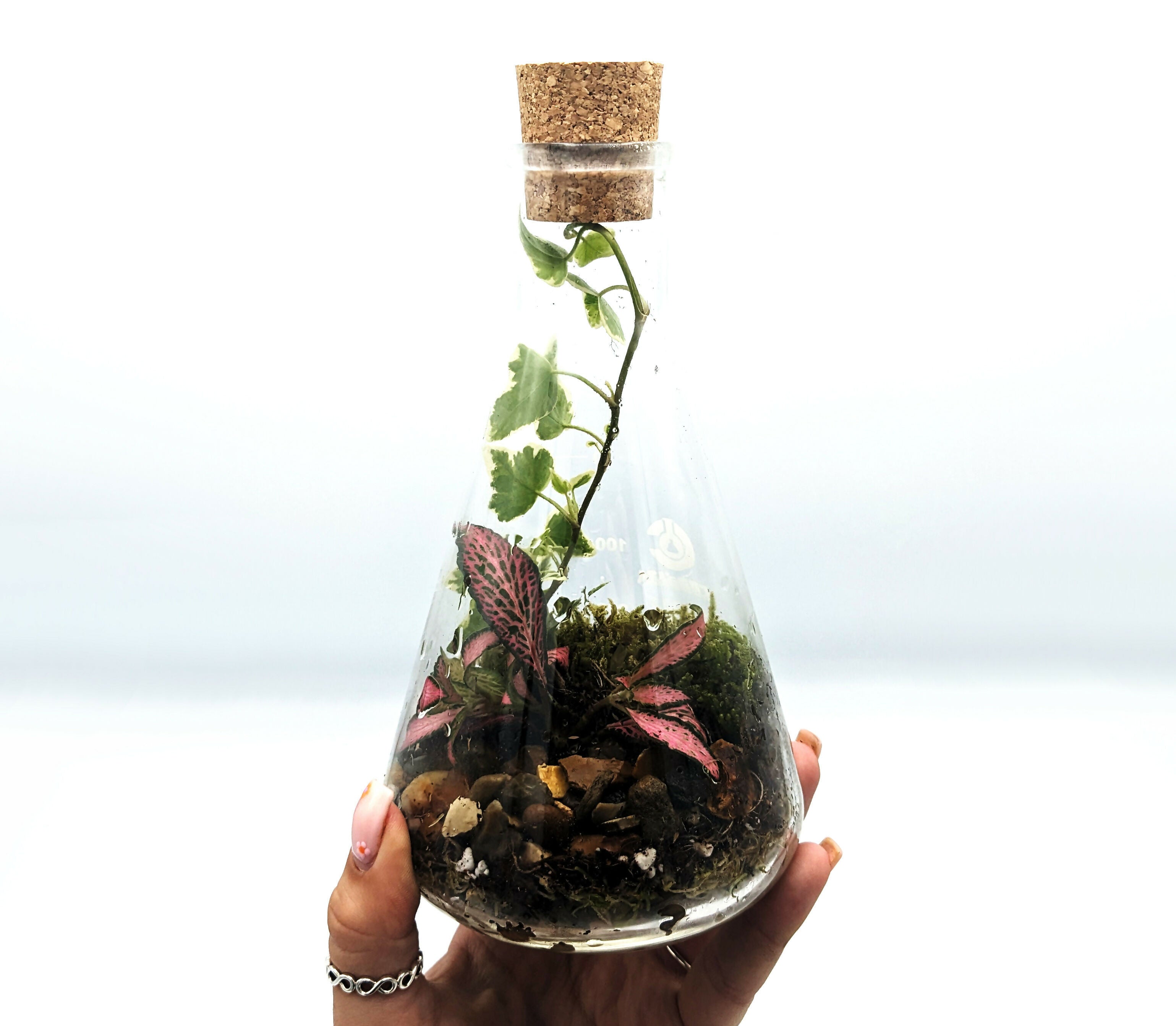 500ml Light Up Conical Flask Terrarium