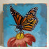 Monarch Butterfly - Original Acrylic Painting