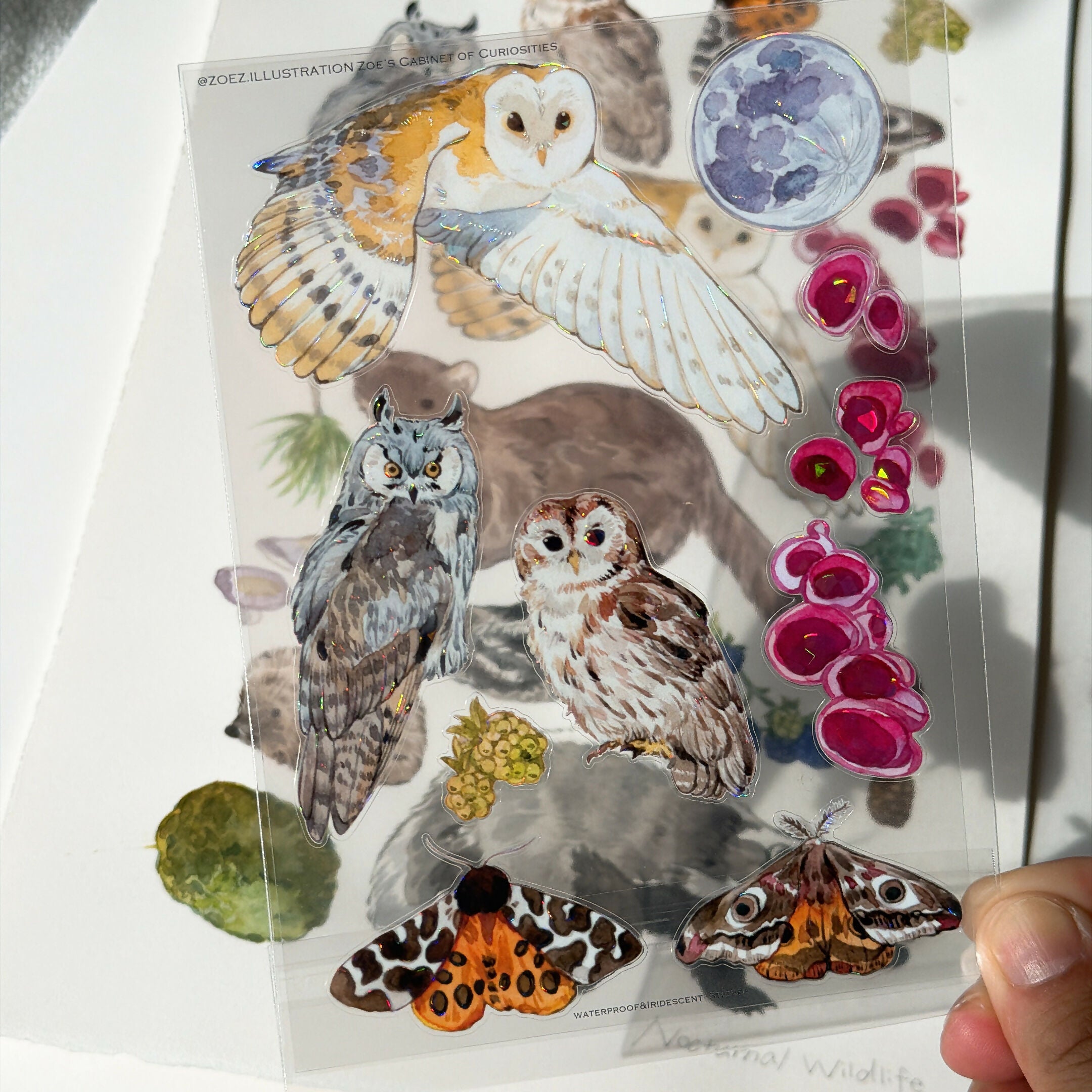 A6 transparent waterproof iridescent wildlife sticker sheet