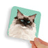 White and Grey Ragdoll V3 Cat Coaster