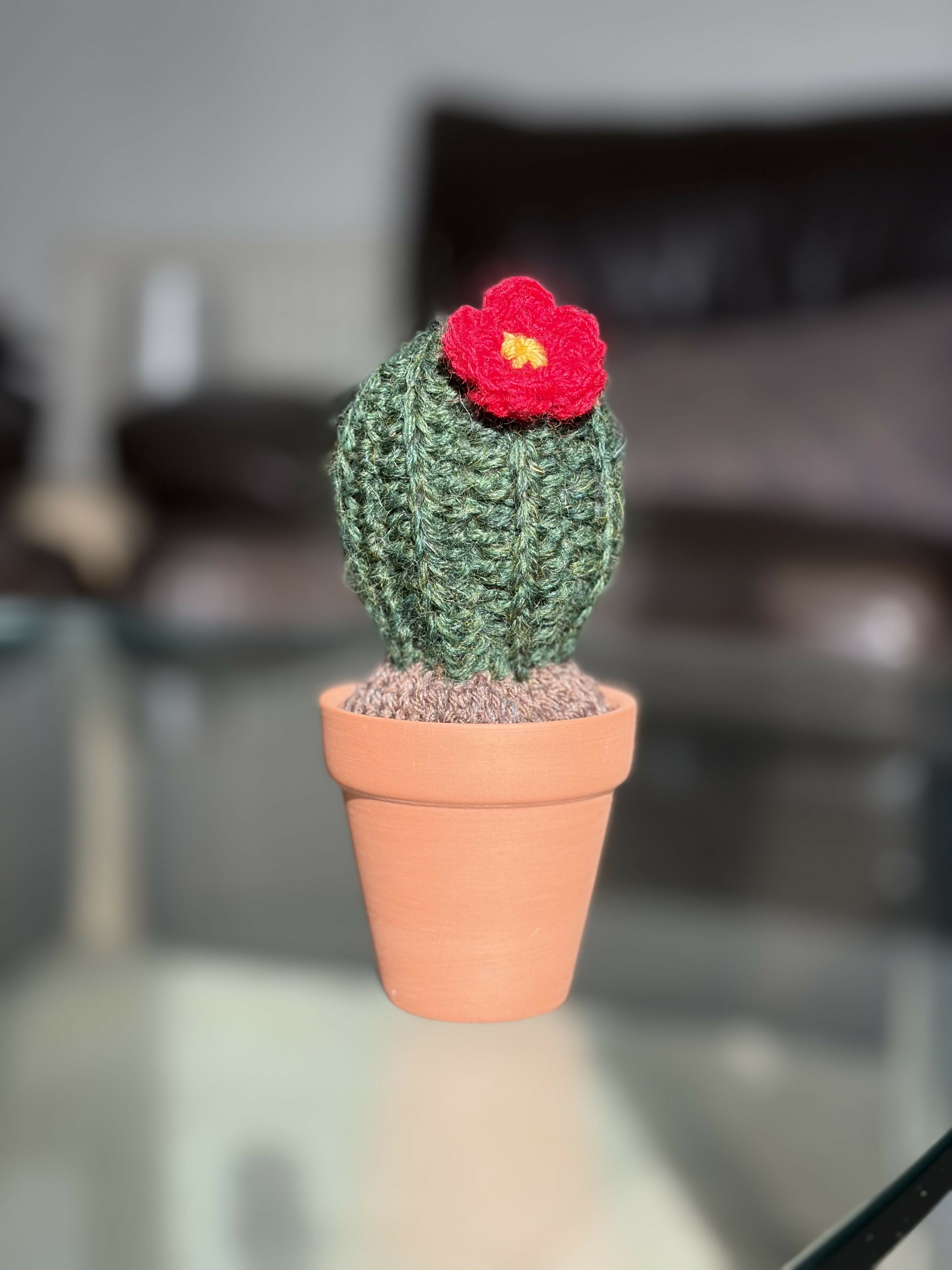 Crochet Potted Cactus
