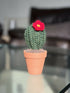 Crochet Potted Cactus