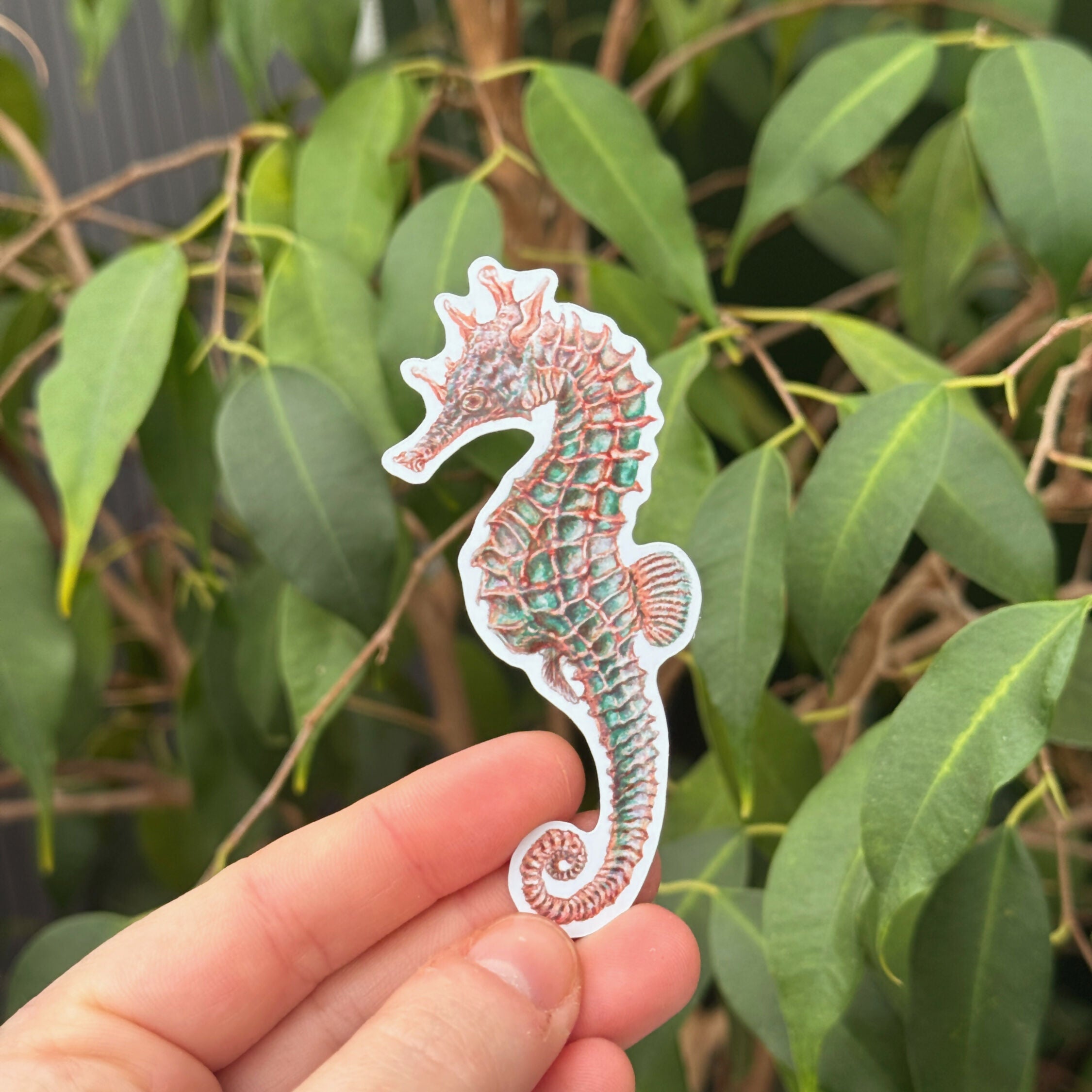 Swimming Seahorses - Gloss Sticker Pack