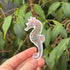 Swimming Seahorses - Gloss Sticker Pack