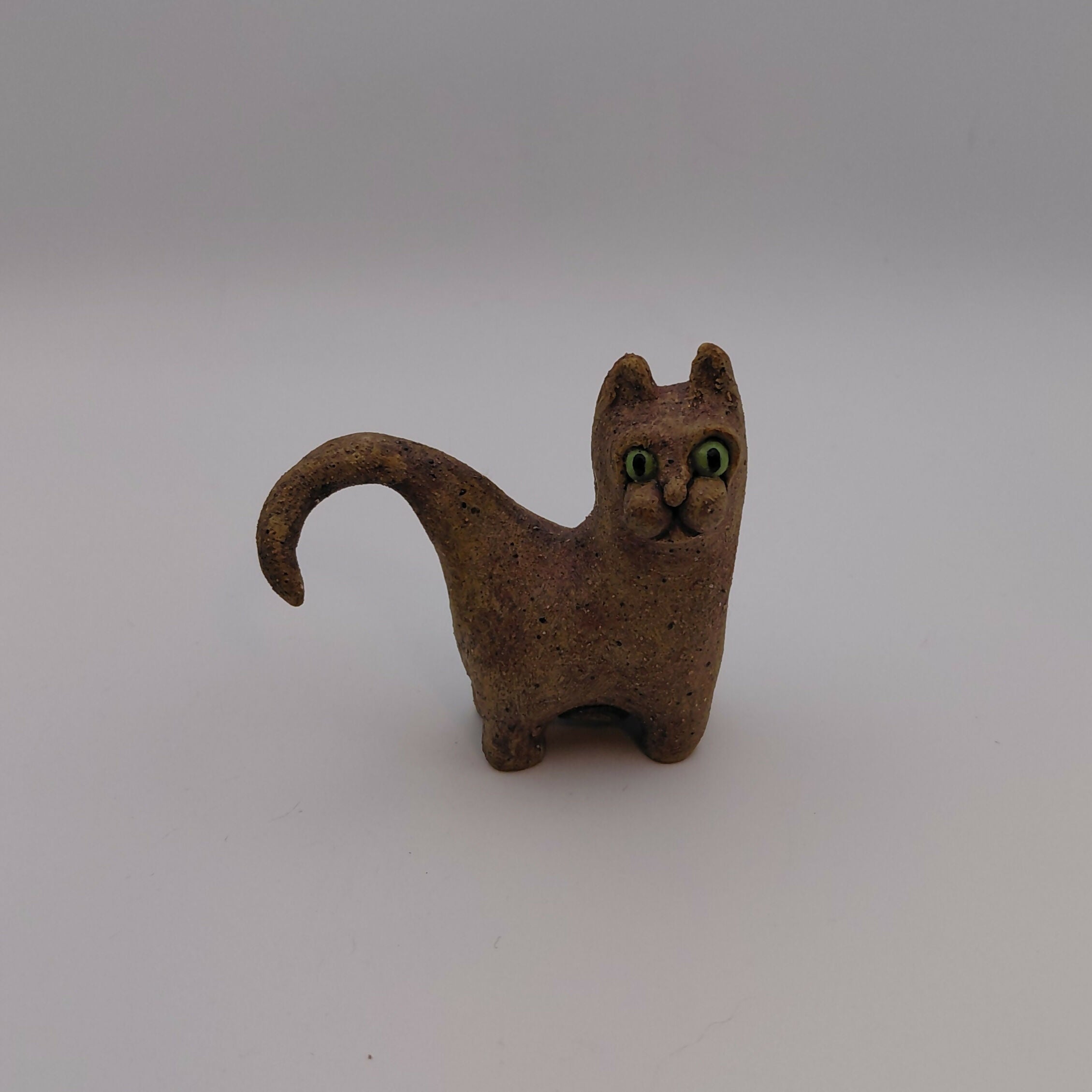 Hearthstone Cat