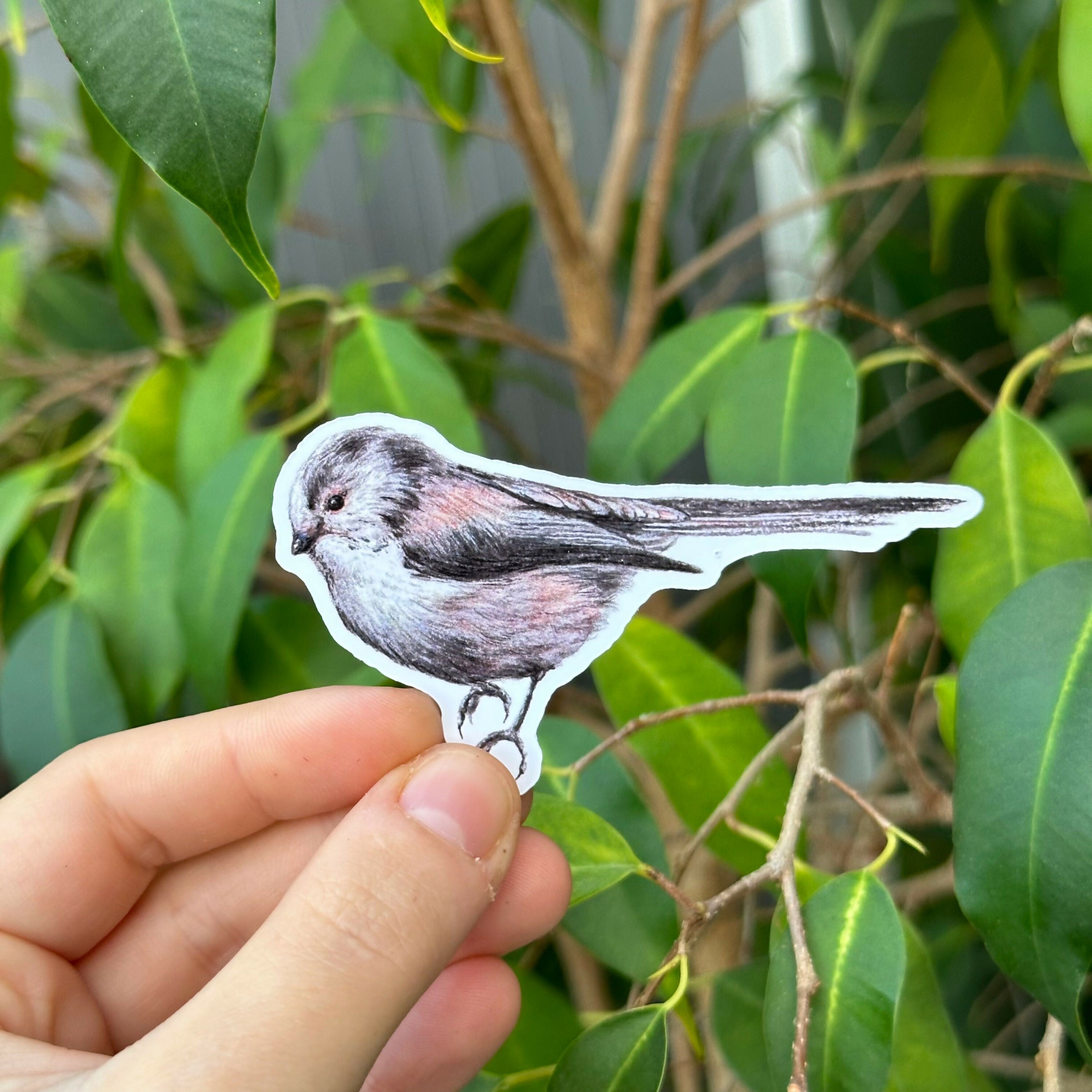 Bunch O' Tits - Gloss Sticker Pack