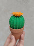 Origami Paper Cactus in Terracotta Pot