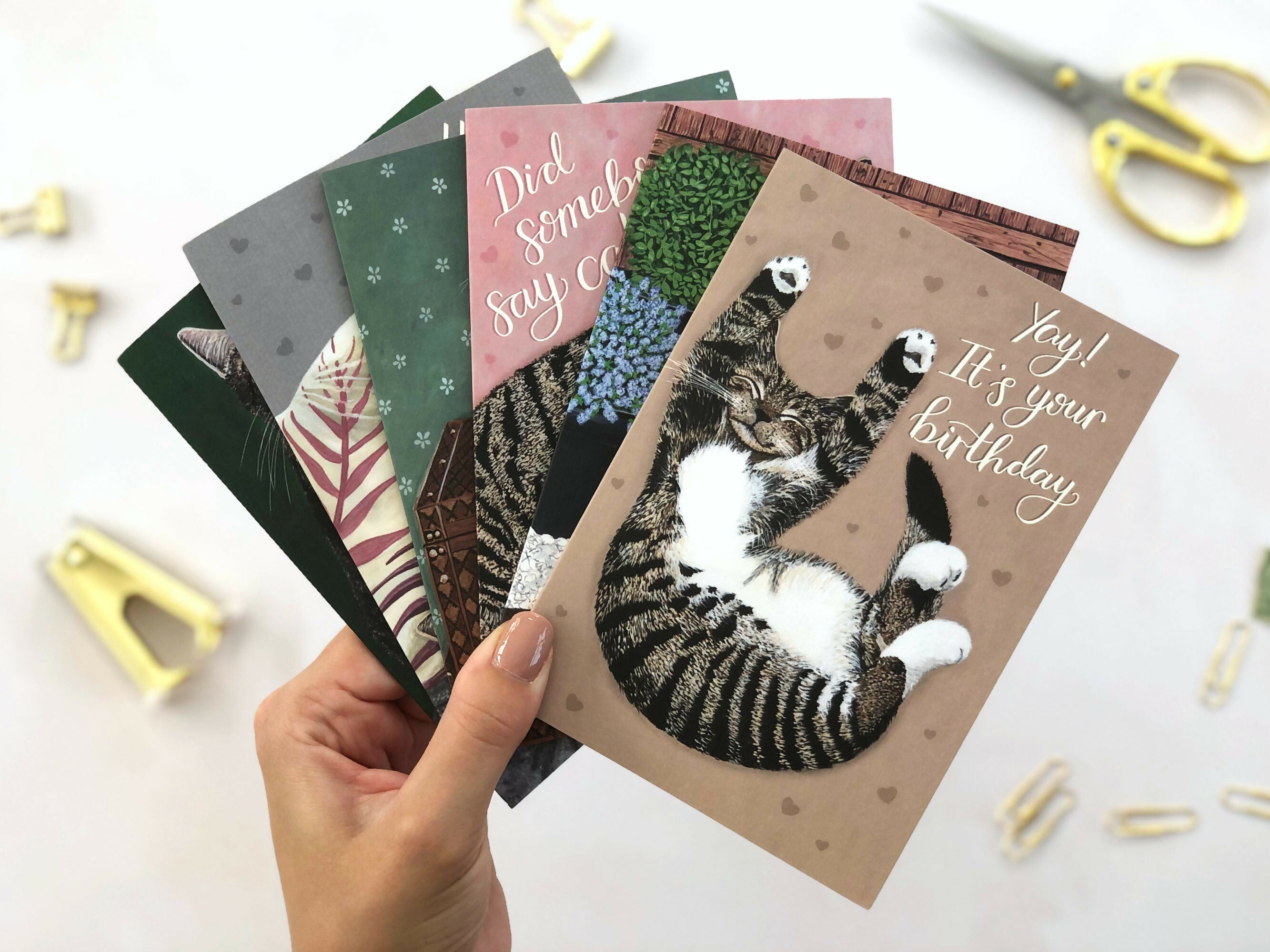 Tabby Cat Grey A6 Birthday Card