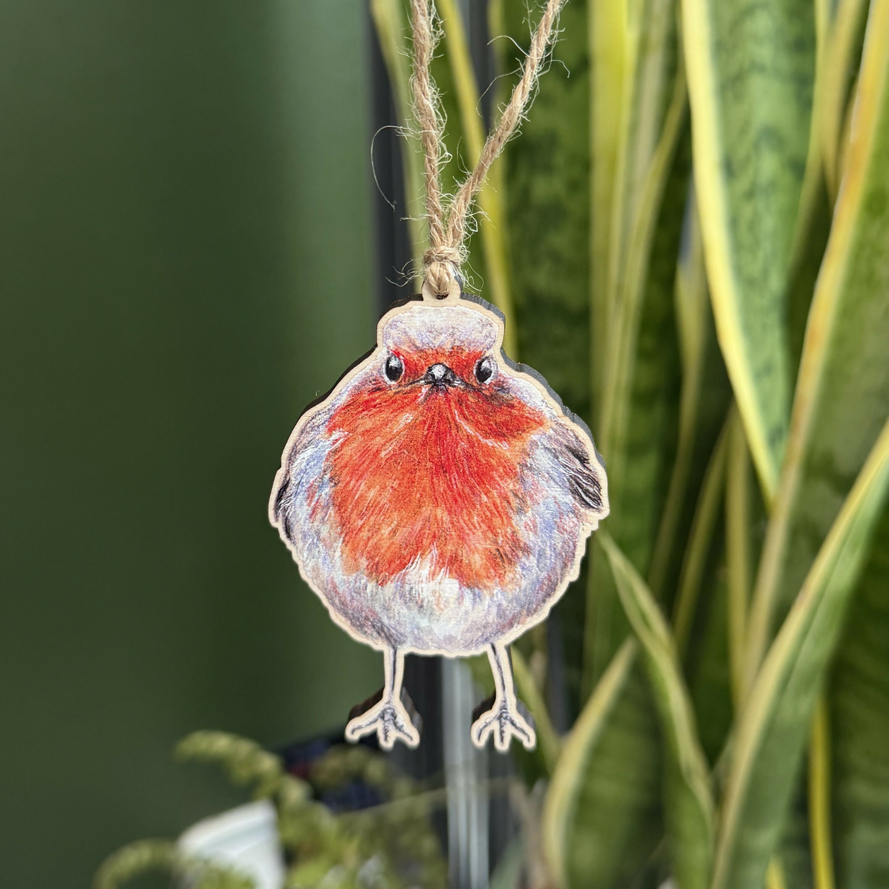 Robin - Decoration - Set of 5