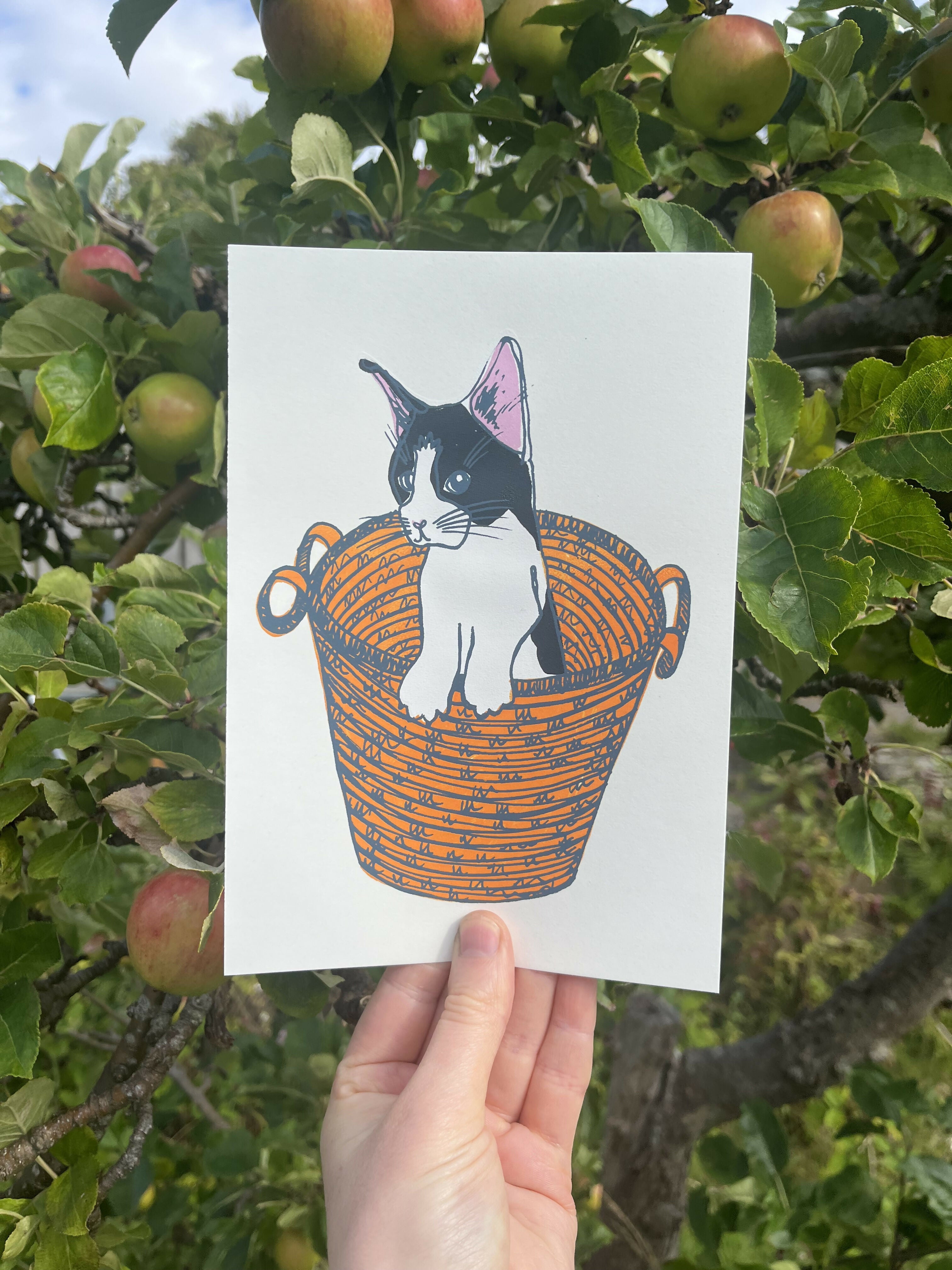 A5 Kitten In Basket Print