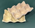 Egg Tray