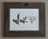 Real Pressed Seaweed Framed Art