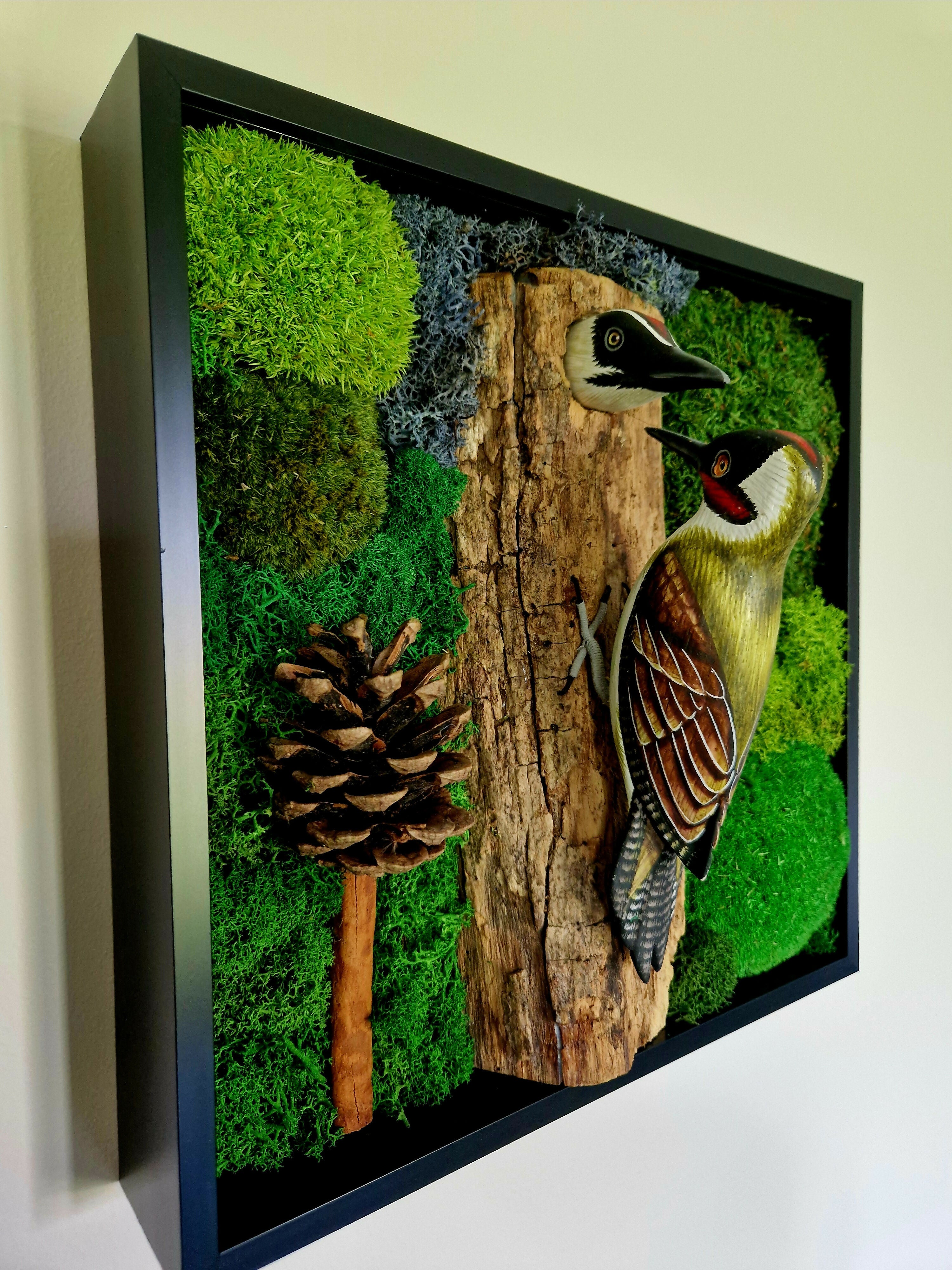 Woodland Woodpeckers