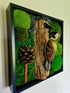 Woodland Woodpeckers