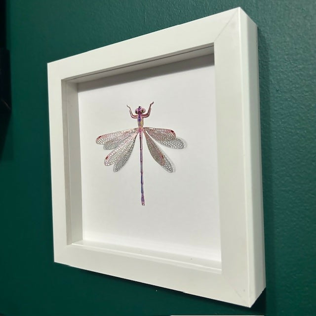 Lovely Faux Paper Pink & Purple Dragonfly In A White Box Frame