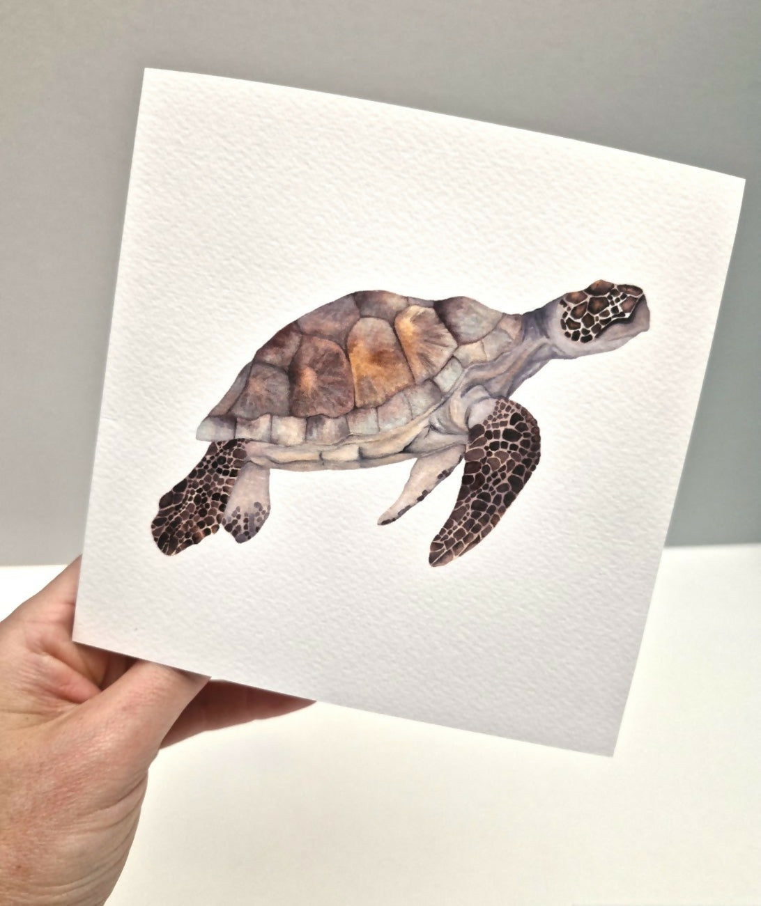 Turtle Greeting Card