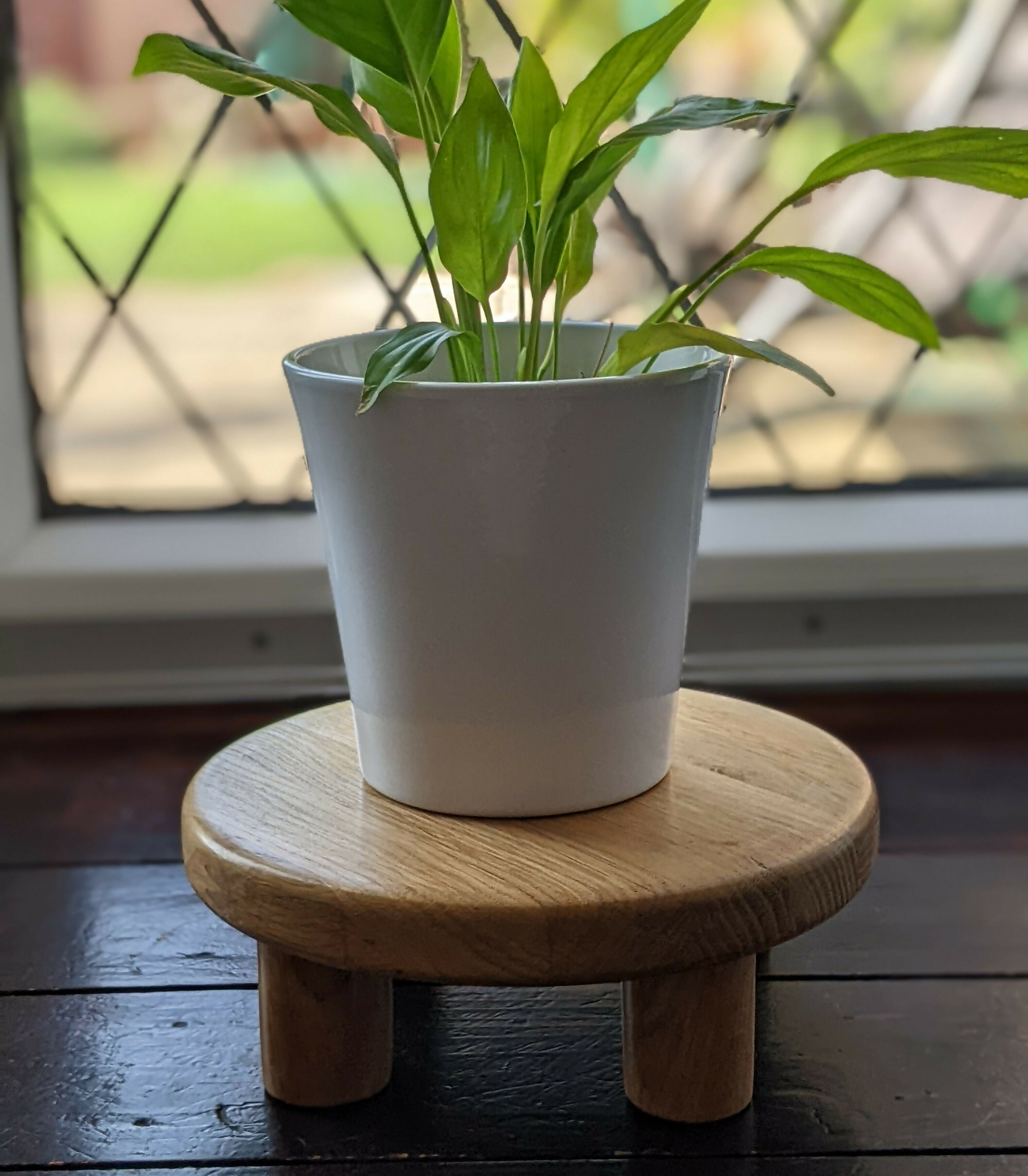 Medium Handmade Raised Wooden Display Stand