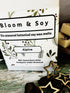 SIX BOTANICAL SOY WAX MELTS IN GIFT BOX