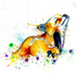 FINE ART PRINT OF ITCHY THE FOX, PART OF THE 'ANIMAL ART COLLECTION'